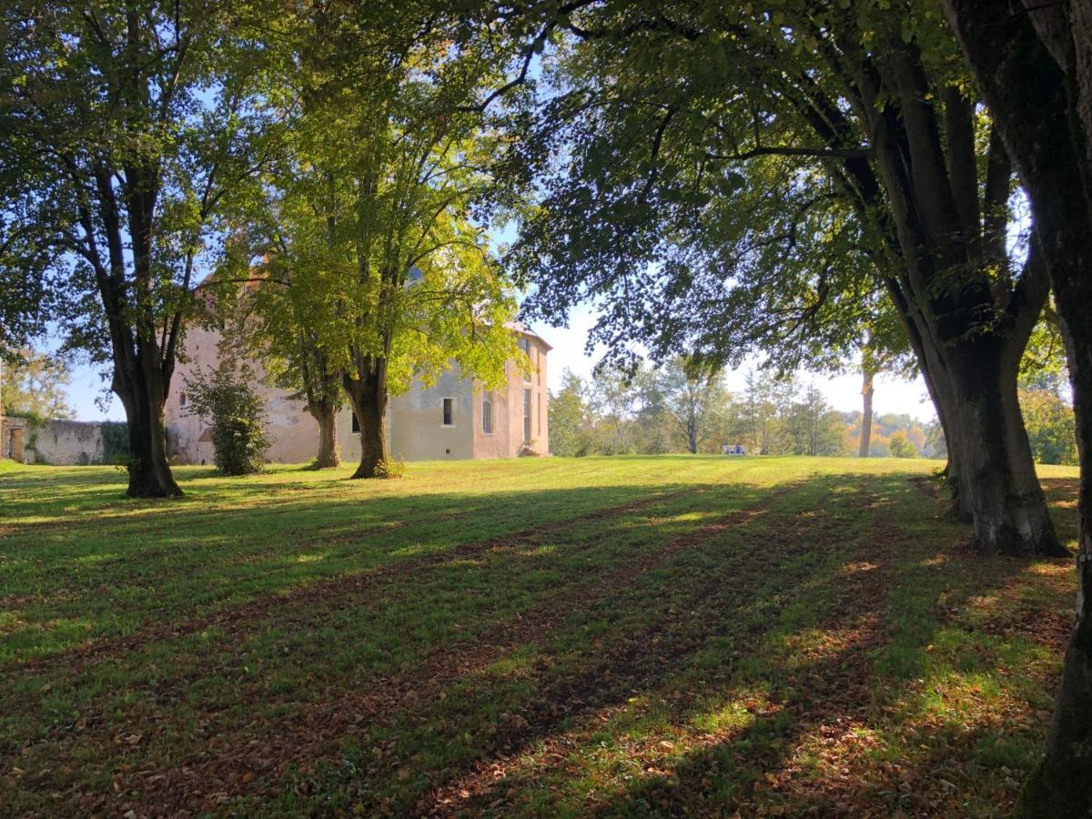 Saincaize-Meauce Un Chateau En Bourgogne מראה חיצוני תמונה